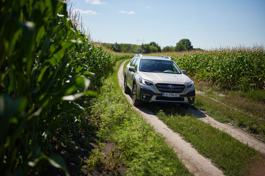 Subaru Outback